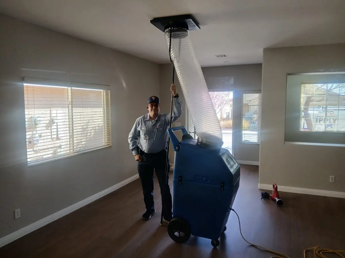 Professional Dryer Vent Cleaning work inside a Hammond home